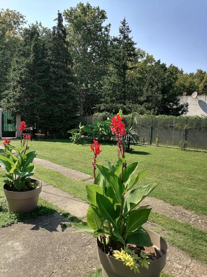 Apartman Garden House Vozdivac Экстерьер фото